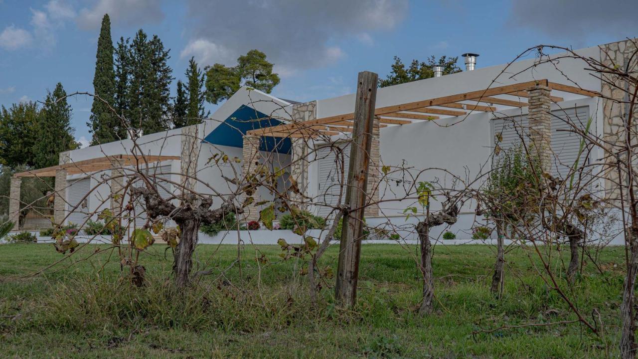 Atrium Vinea Brintziki Winery Apartment Smila Exterior foto