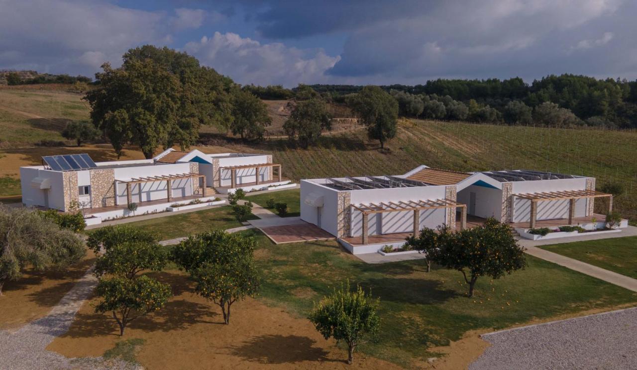 Atrium Vinea Brintziki Winery Apartment Smila Exterior foto