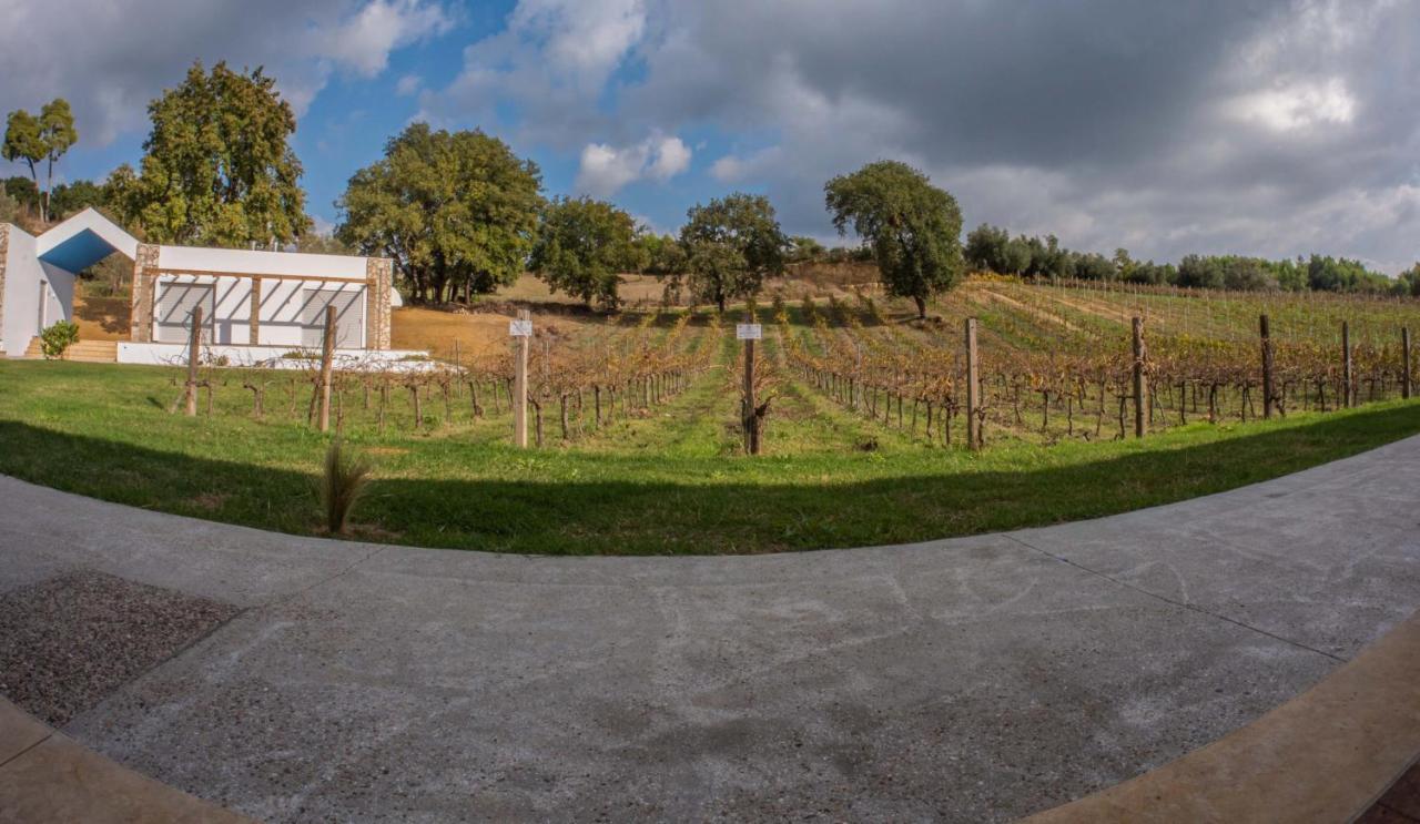 Atrium Vinea Brintziki Winery Apartment Smila Exterior foto