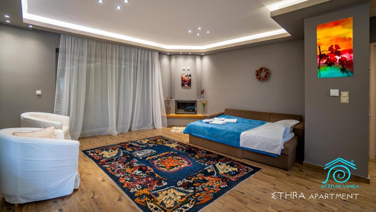 Atrium Vinea Brintziki Winery Apartment Smila Exterior foto