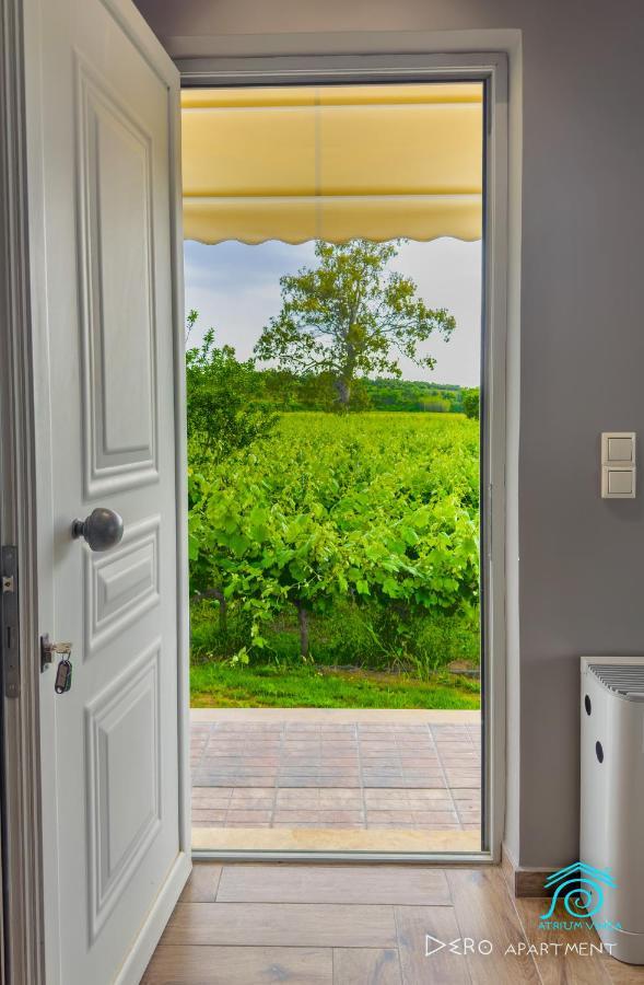 Atrium Vinea Brintziki Winery Apartment Smila Exterior foto