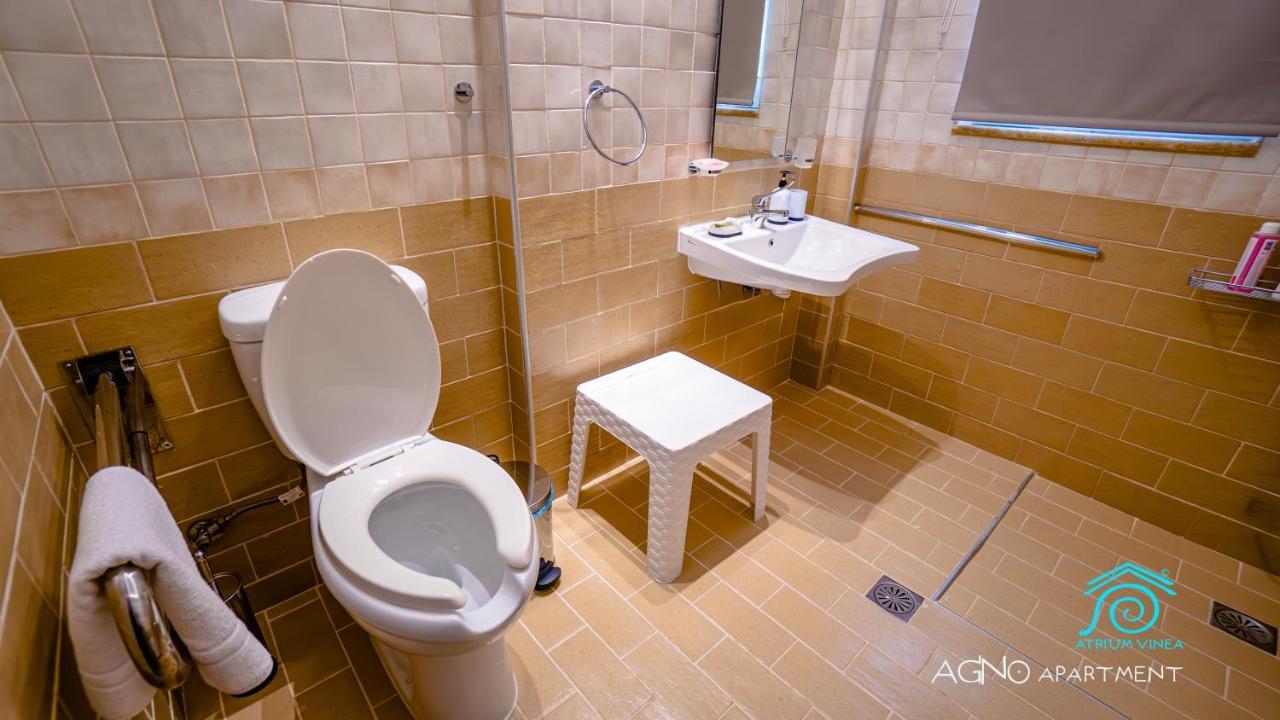 Atrium Vinea Brintziki Winery Apartment Smila Cameră foto