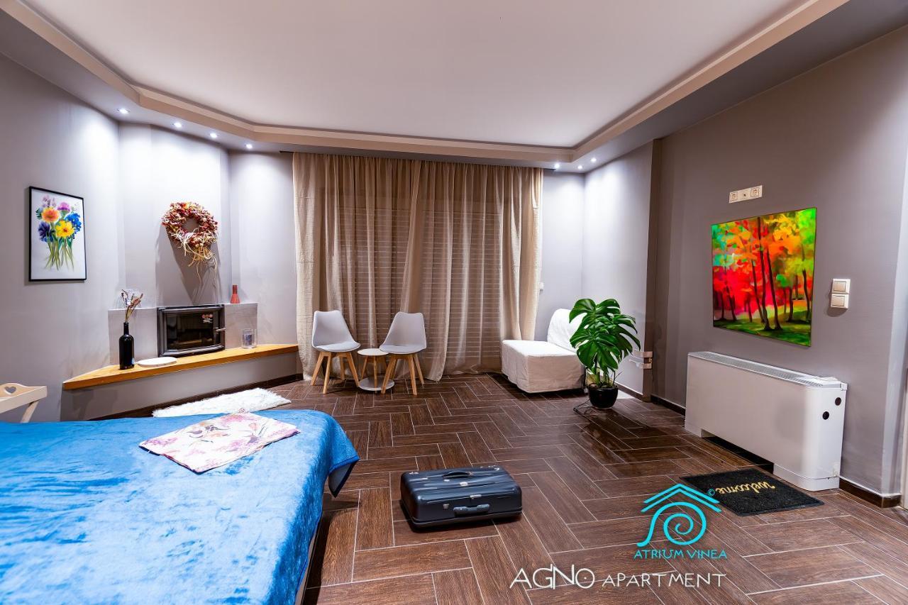 Atrium Vinea Brintziki Winery Apartment Smila Exterior foto