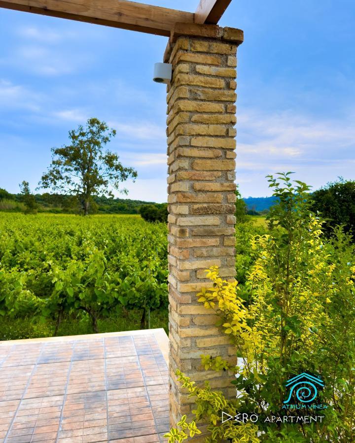 Atrium Vinea Brintziki Winery Apartment Smila Exterior foto